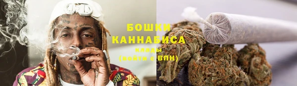 мяу мяу мука Абаза