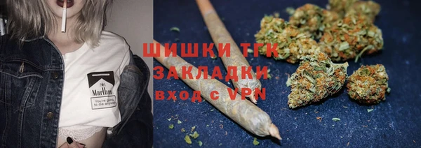 мяу мяу мука Абаза