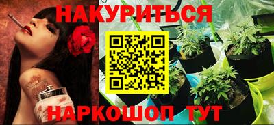 мдпв Кингисепп