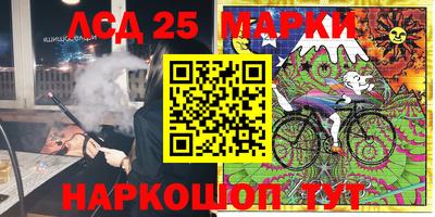 мдпв Кингисепп
