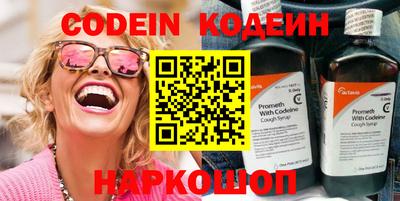 мдпв Кингисепп