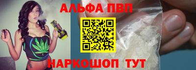 мдпв Кингисепп