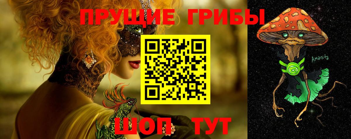 Воткинск  Галлюциногенные грибы Psilocybe  Вход с VPN 