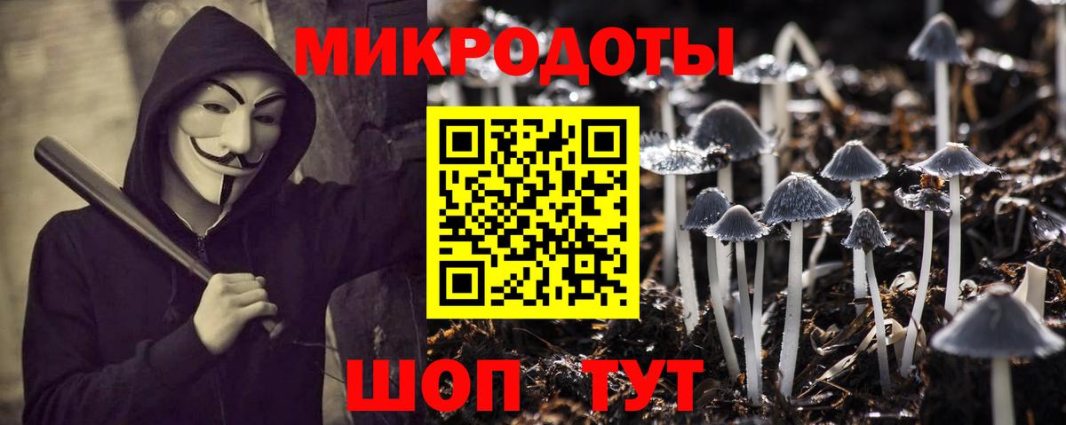 Псилоцибиновые грибы Psilocybine cubensis Воткинск